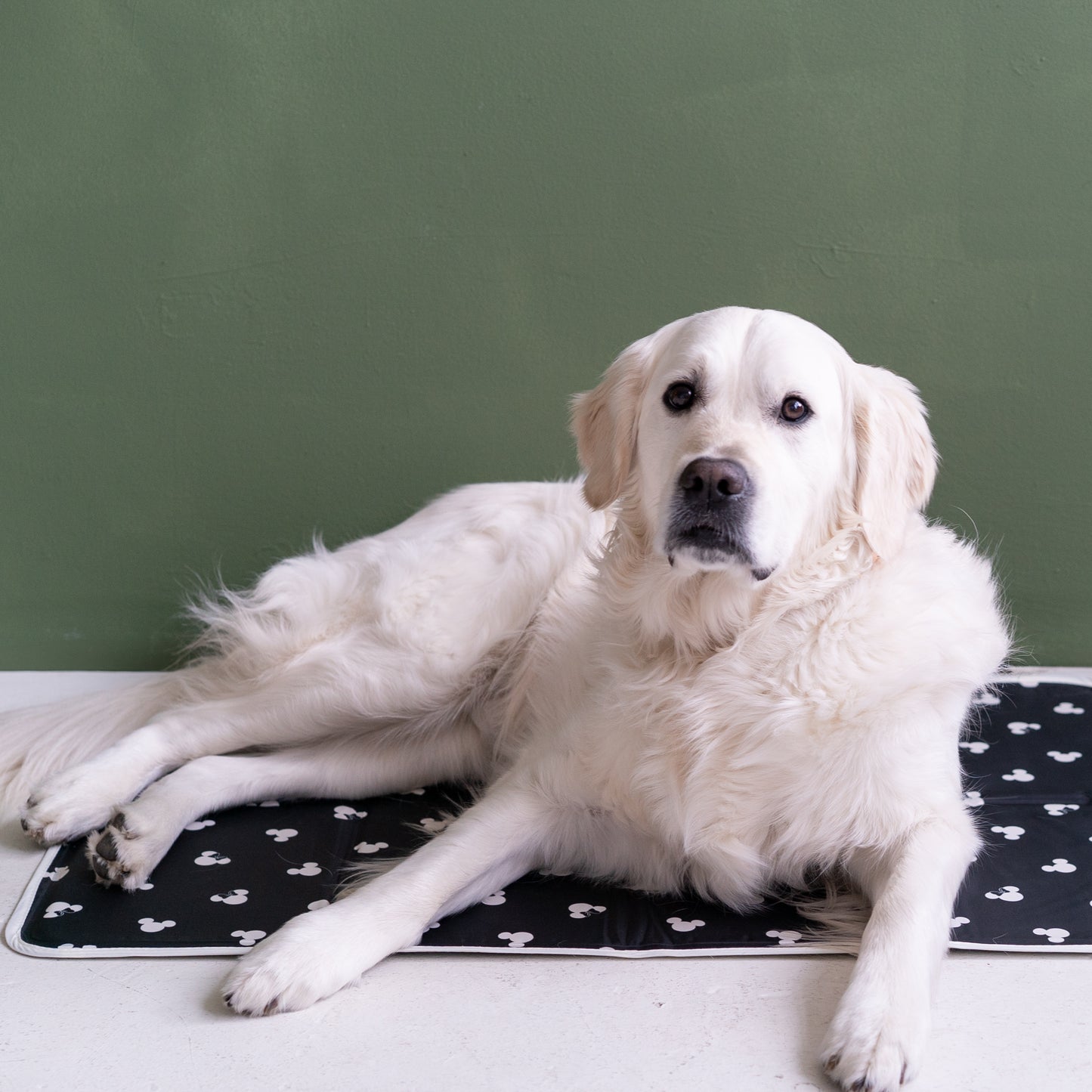 Disney Mickey & Minnie Cool Pet Pad