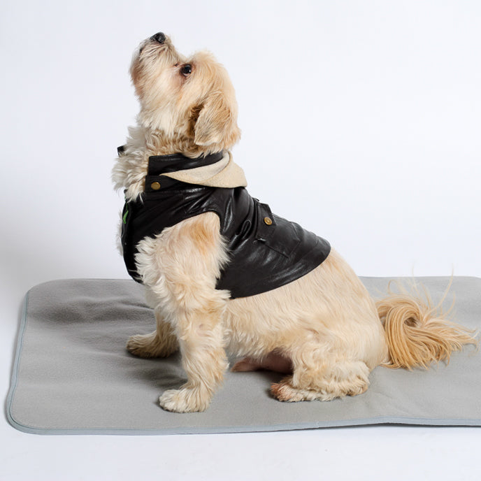 Thera-Pawz Warming Pad