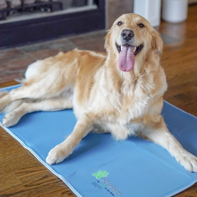 The 7 Best Dog Cooling Mats, Beds, and Pads to Keep a Dog Cool