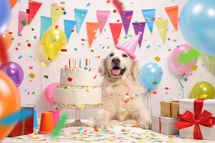 How to Throw the Perfect Dog Birthday Party