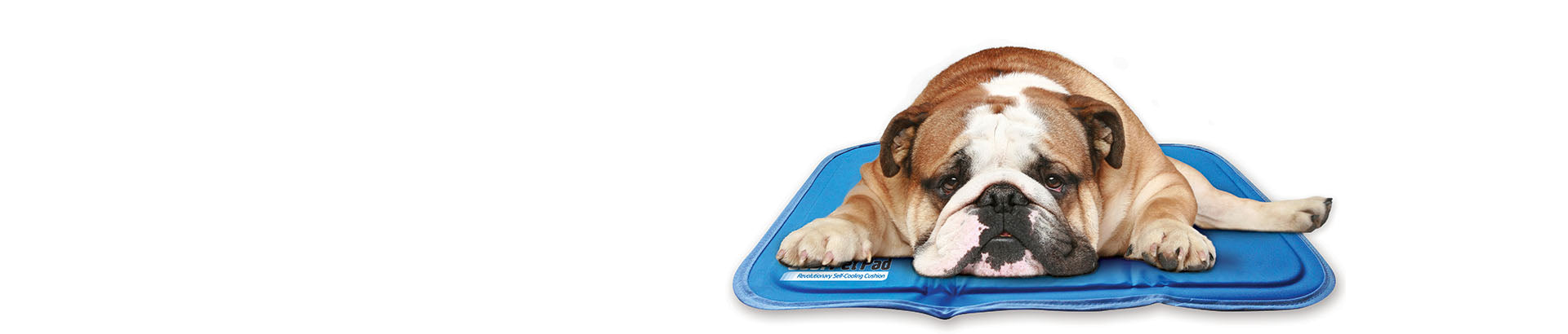 Green Pet Shop Dog Cooling Mat