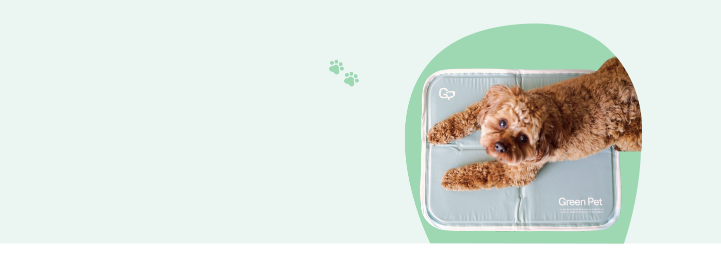 Unique, Affordable, EcoFriendly Products The Green Pet Shop