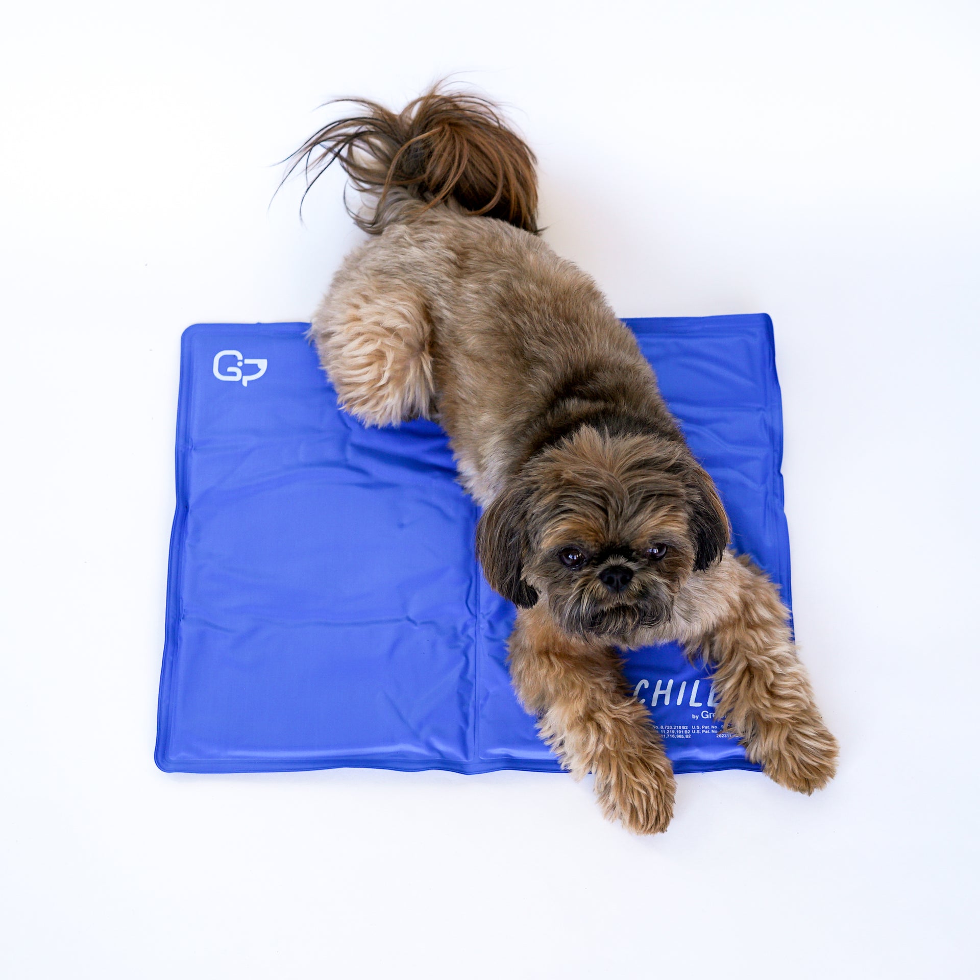 cooling pad for dog stroller Chillz Gel Mat XL / Sage