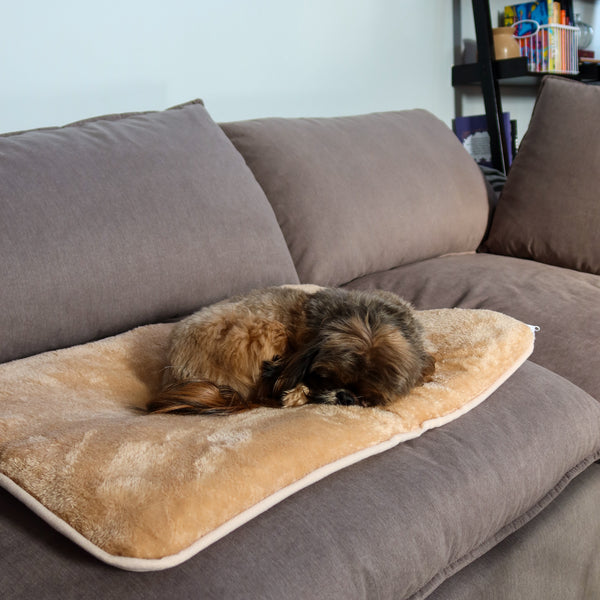 enzo_crazy_warm_couch-