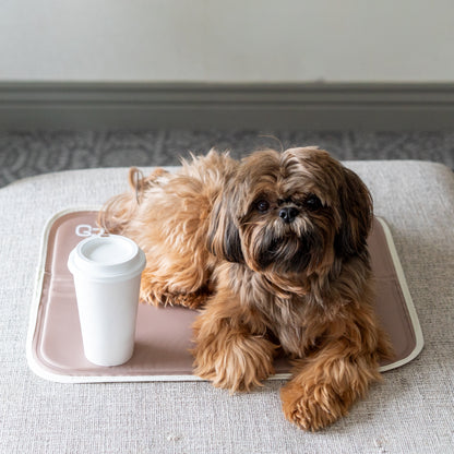 Cool Pet Pad