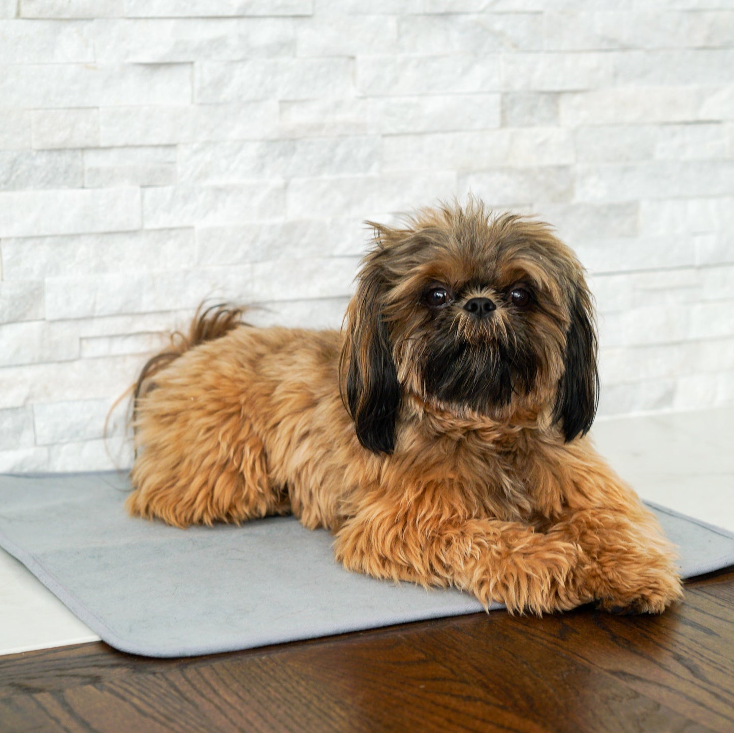 Thera-Pawz Warming Pad
