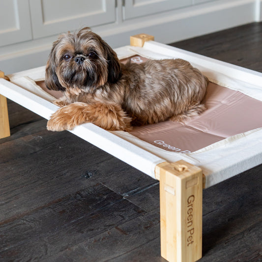 Elevated Bamboo Bed
