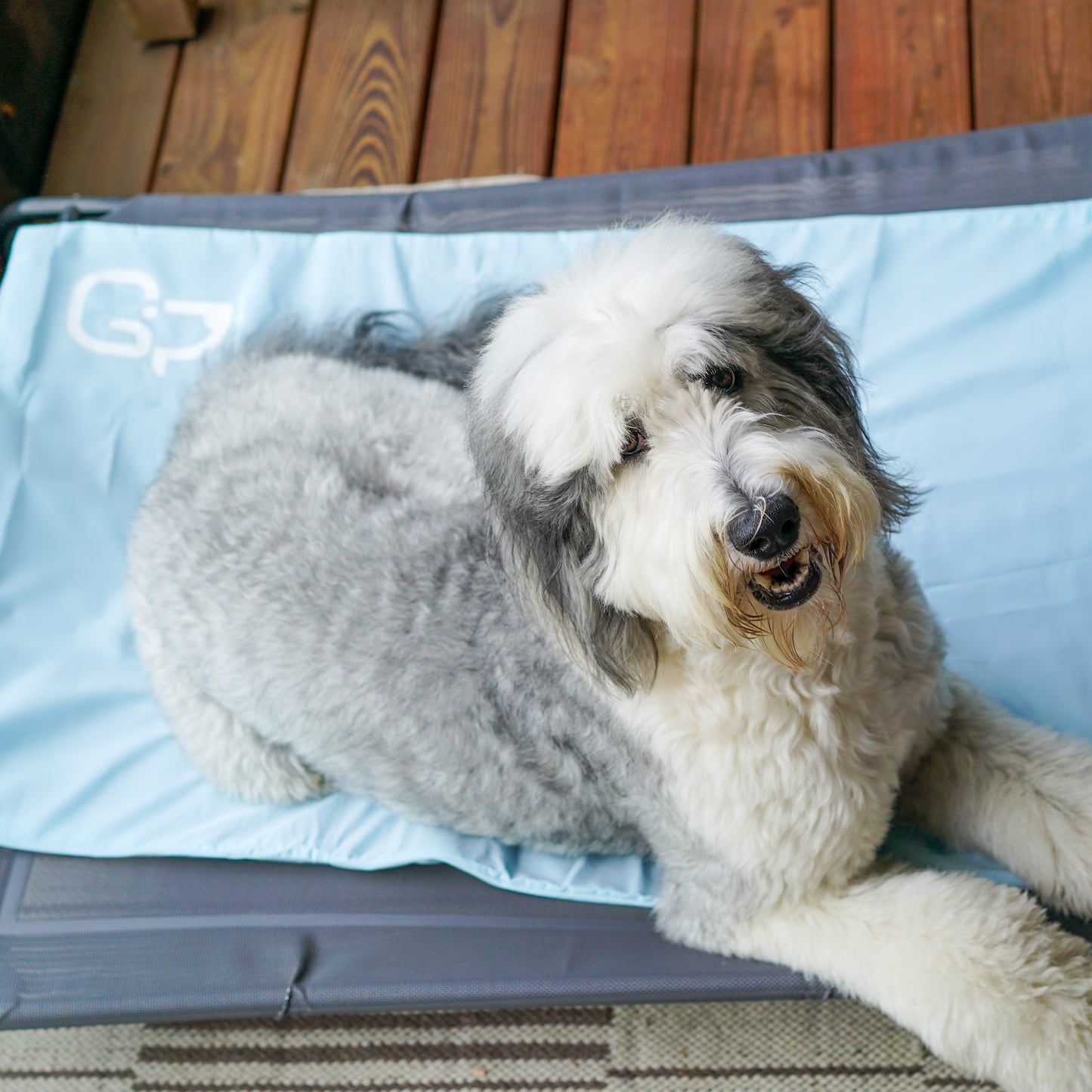 Cool Pet Pad Cover