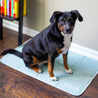 Cool Pet Pad