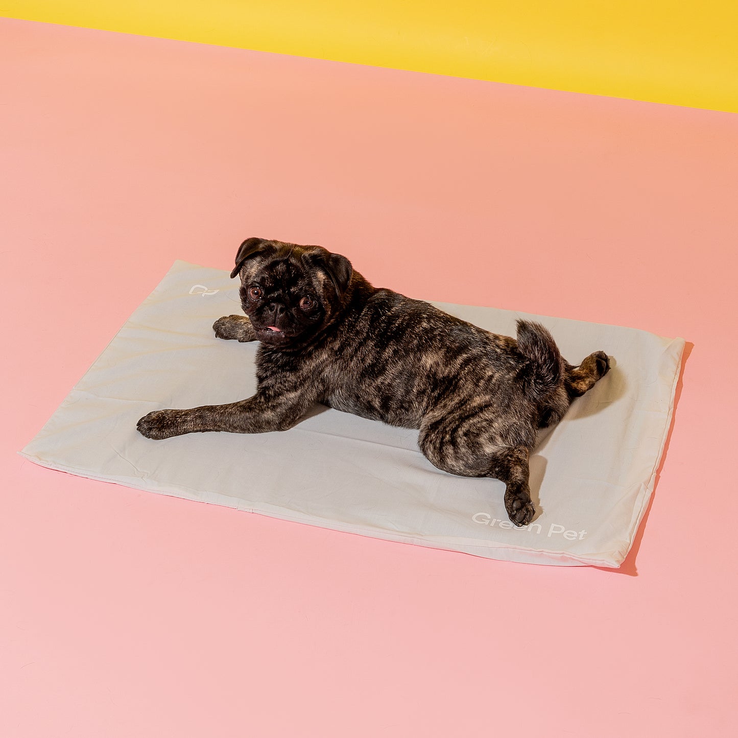 Cool Pet Pad Cover
