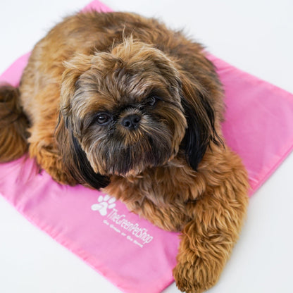 Cool Pet Pad Cover Clearance