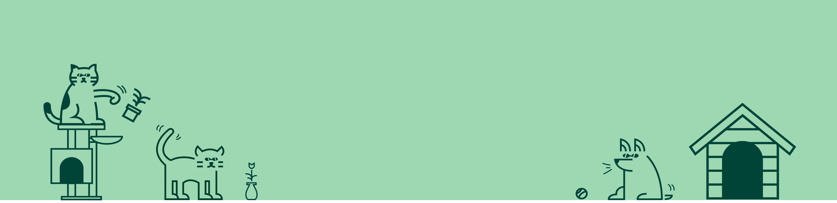 Unique, Affordable, EcoFriendly Products The Green Pet Shop