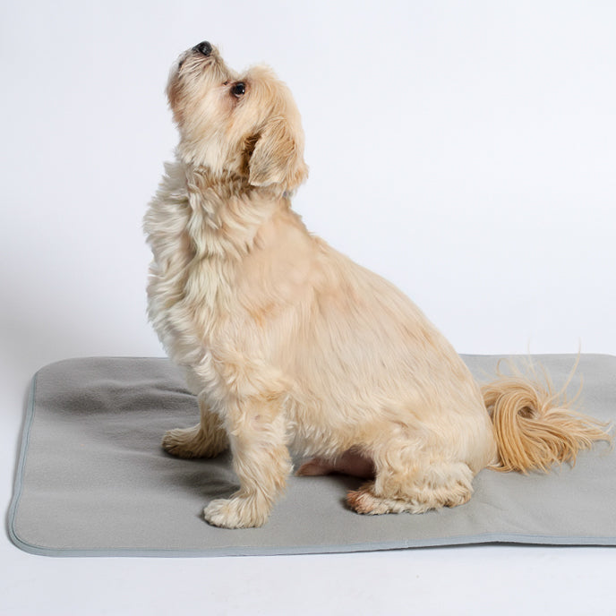 Thera-Pawz Warming Pad | Green Pet
