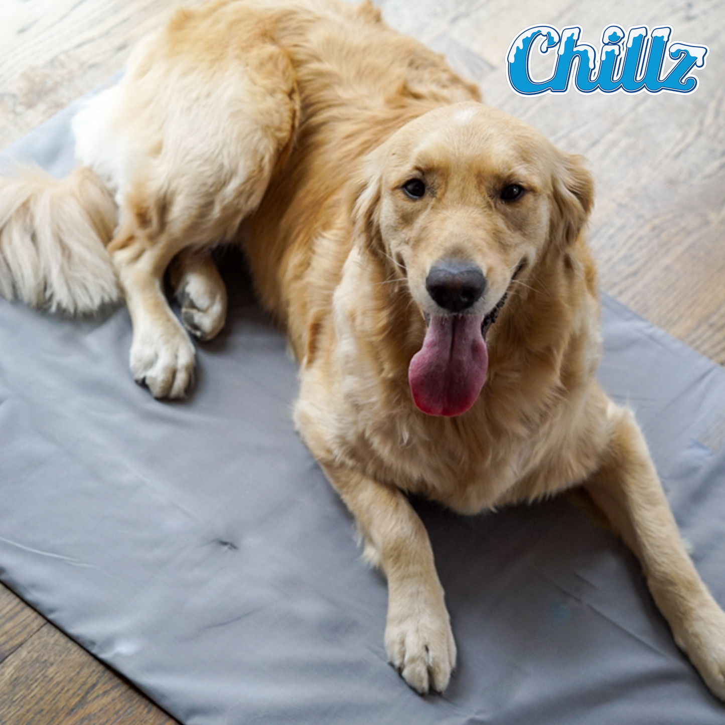 Chillz Gel Mat Cover