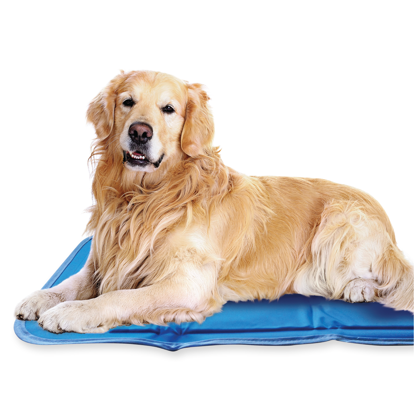 Cool pet pad deals large