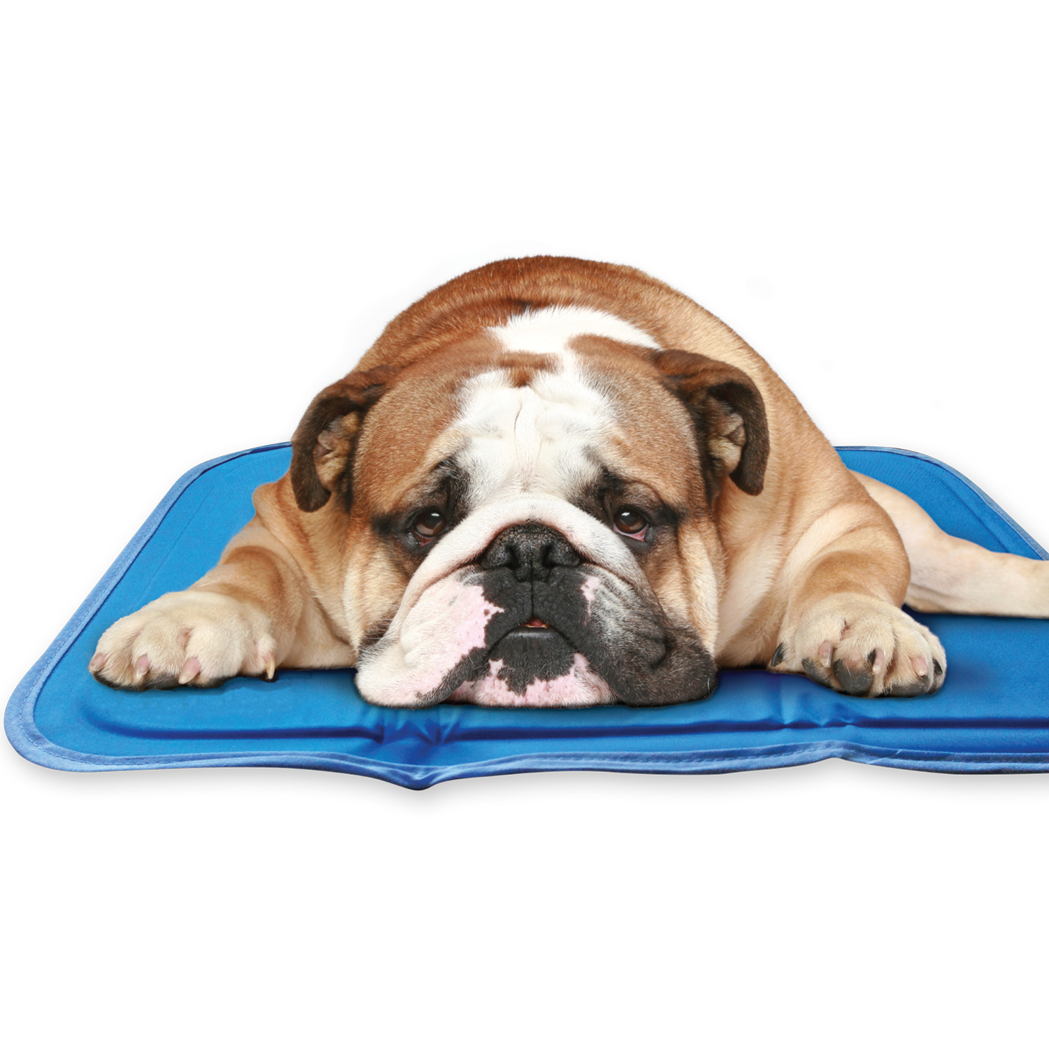 As seen on tv pet cooling mat deals