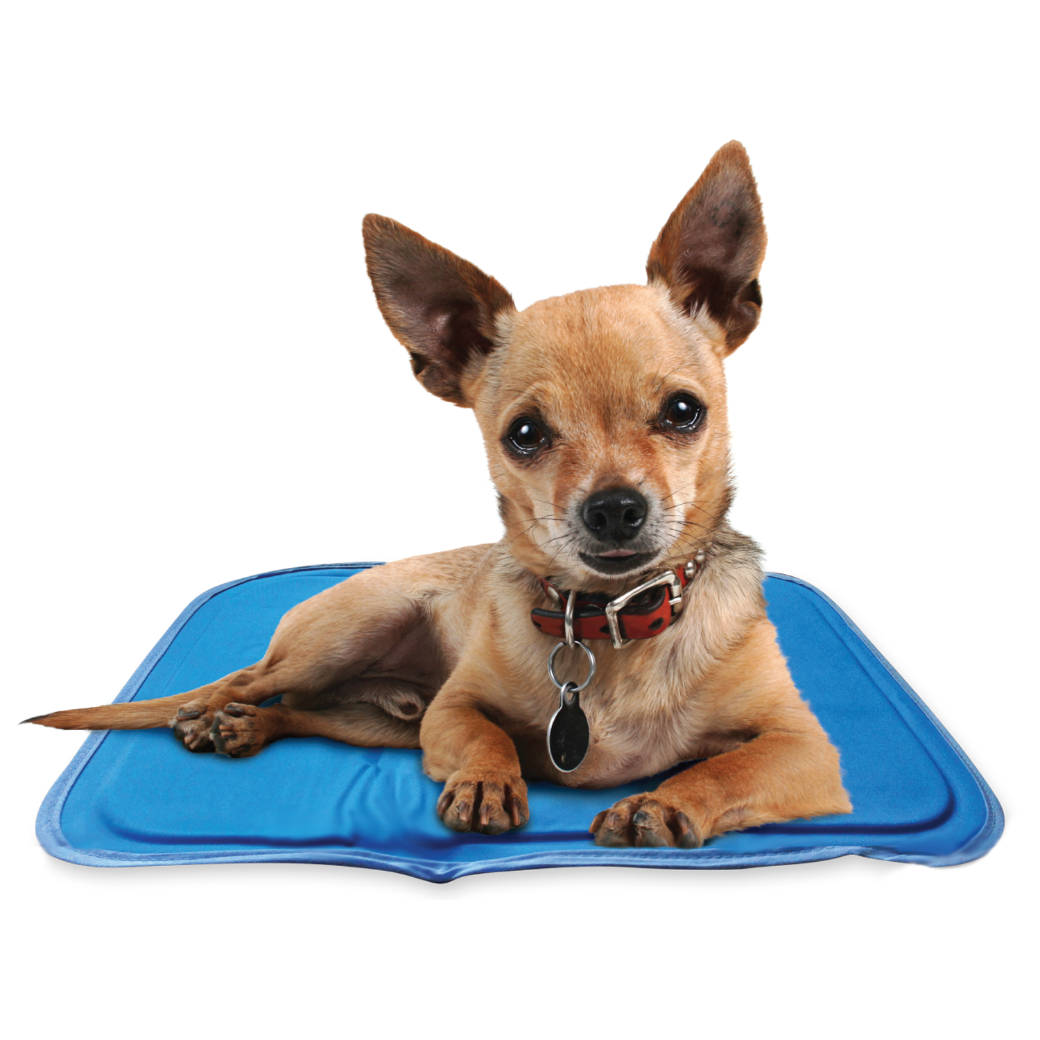 The Green Pet Shop Dog Mat, Extra Large - Pressure Activated Cooling Pad,  (80 Plus Lb.) - Non-Toxic Gel, No Water or Electricity Needed for This XL