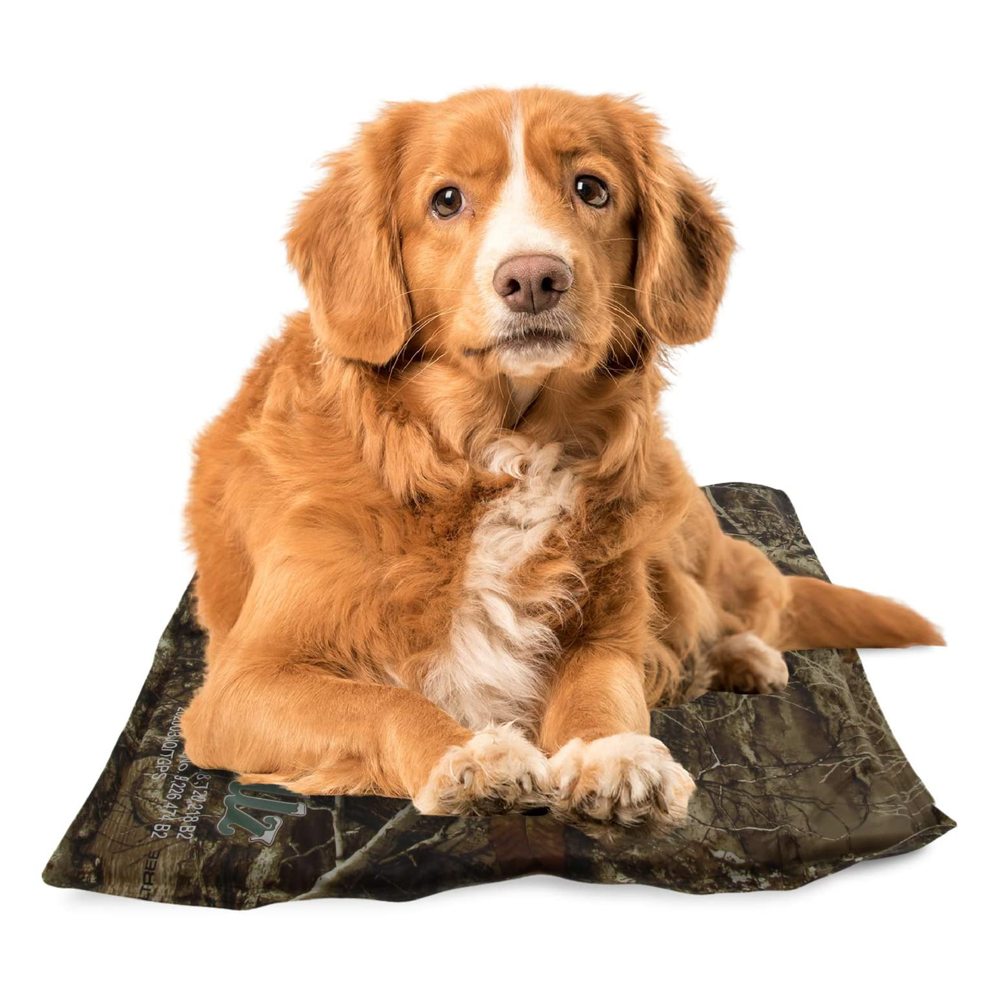 Chillz comfort cooling best sale gel pet pad