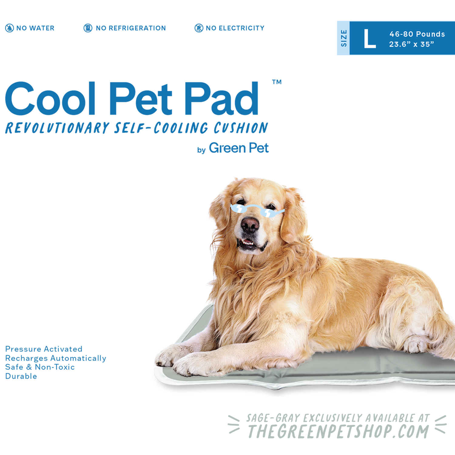 This Pet Bowl Will Keep Your Dog's Water Cool for 15 Hours, So It's a Must  for Summer