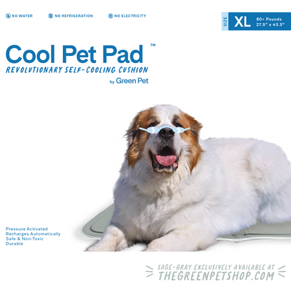 Cool Pet Pads Pet Cooling Mat and Beds Green Pet